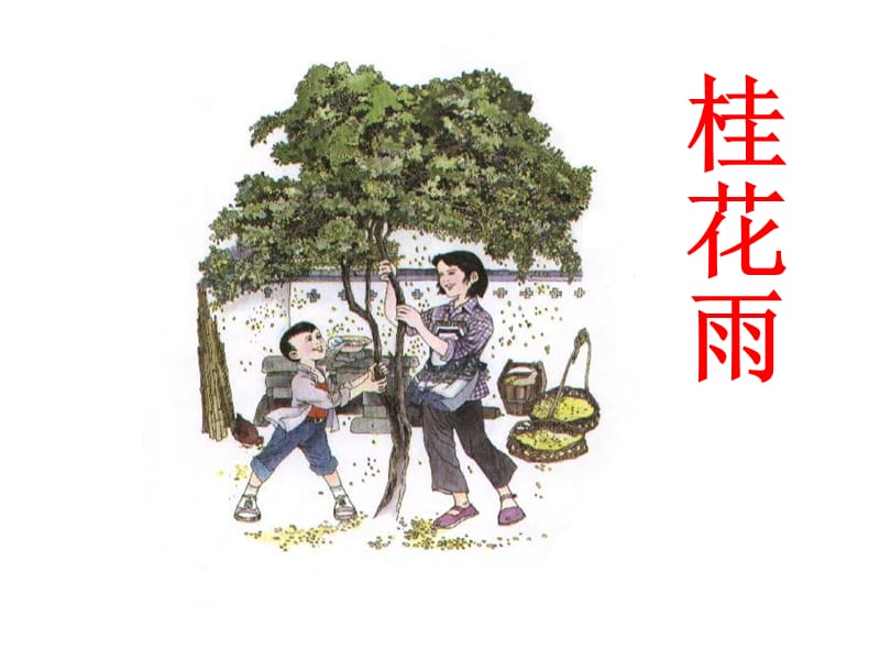 7桂花雨PPT课件[精选文档].ppt_第1页