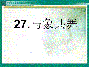 27.《与象共舞》[精选文档].ppt