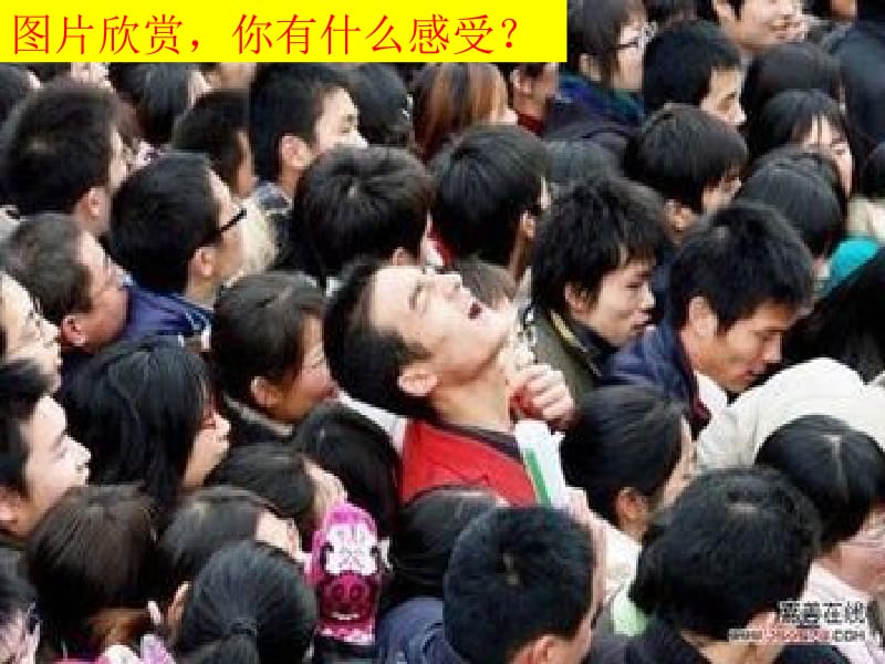 26.人口增长对生态环境的影响[精选文档].ppt_第2页