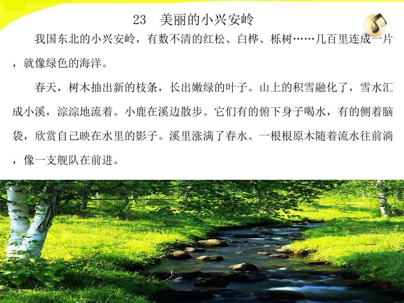 23_美丽的小兴安岭[精选文档].ppt_第2页