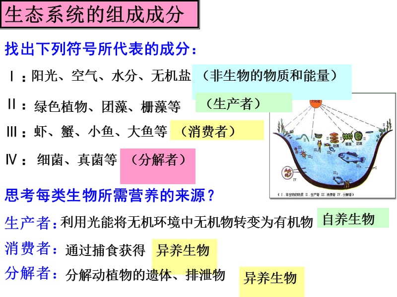 5.1《生态系统的结构》课件李文静[精选文档].ppt_第3页