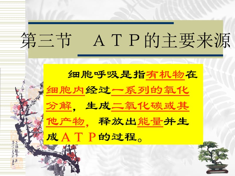 5.3ATP的主要来源──细胞呼吸课件[精选文档].ppt_第2页