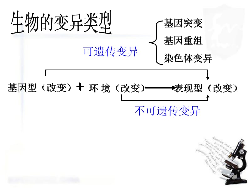 5.2《染色体变异》课件田运洪[精选文档].ppt_第1页