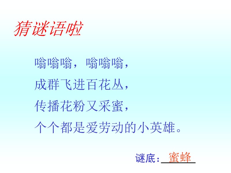 26蜜蜂引路(上课自用)[精选文档].ppt_第1页