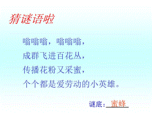 26蜜蜂引路(上课自用)[精选文档].ppt