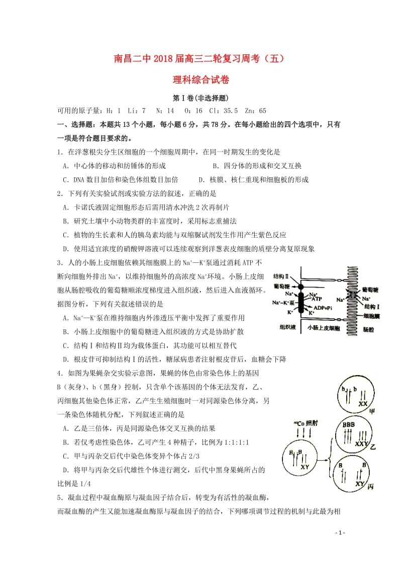 江西省南昌市第二中学2018届高三理综下学期周考试题五201806060155.doc_第1页