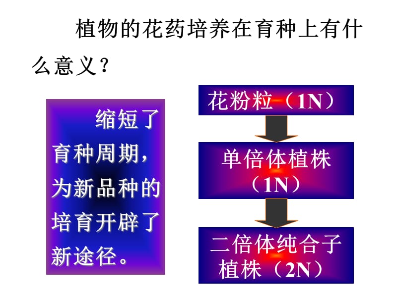 3.2《月季的花药培养》课件辛越权[精选文档].ppt_第1页