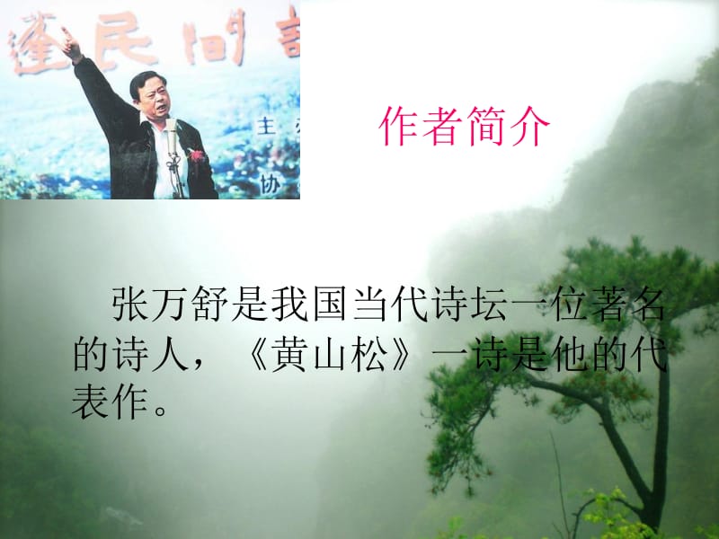 4黄山松课件2[精选文档].ppt_第3页