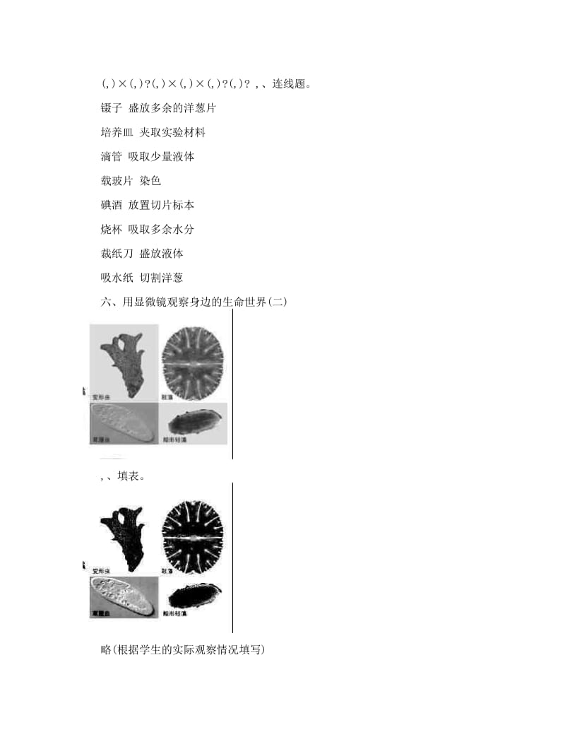 最新修订版小学科学作业本参考答案(六下)优秀名师资料.doc_第2页