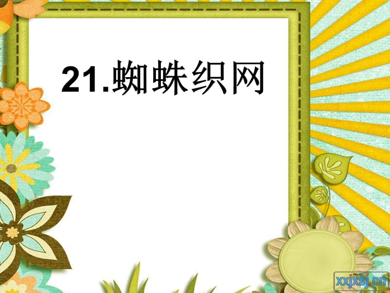 21.蜘蛛织网[精选文档].ppt_第1页