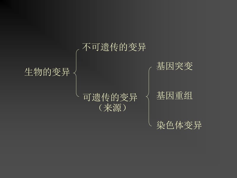 5.1《基因突变和基因重组》课件陈丽青[精选文档].ppt_第2页