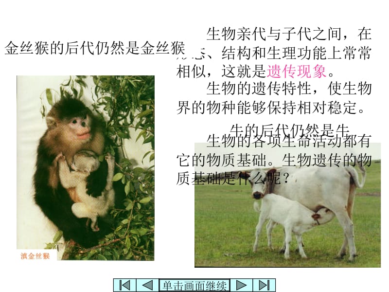 DNA是主要的遗传物质PPT[精选文档].ppt_第3页