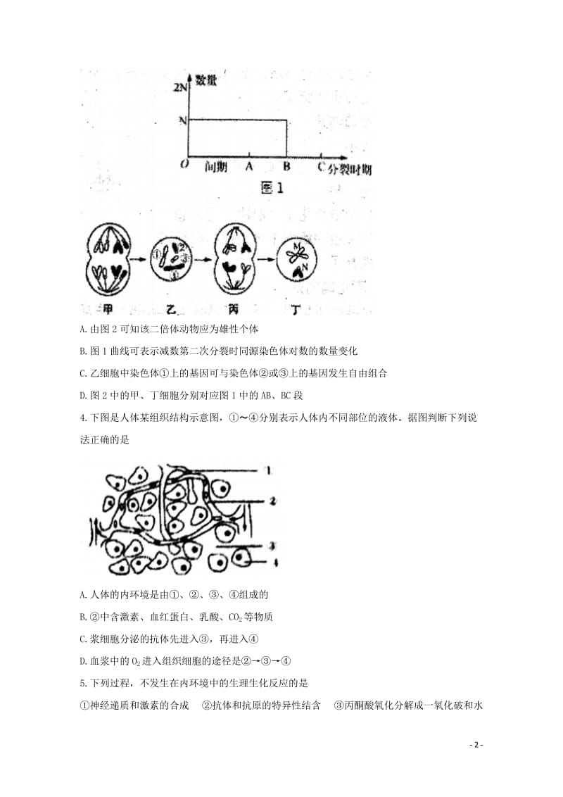 安徽省淮北市第一中学2017_2018学年高二生物下学期期中试题20180605023.doc_第2页