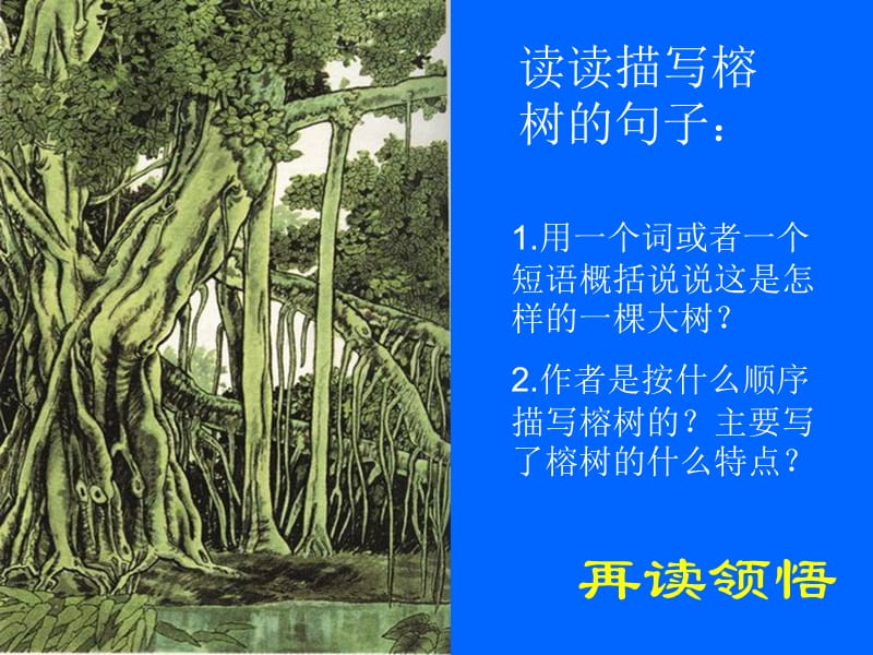 《鸟的天堂》教学课件——左会莉[精选文档].ppt_第3页