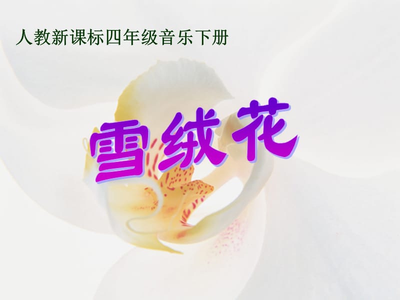 《雪绒花》PPT课件[精选文档].ppt_第1页