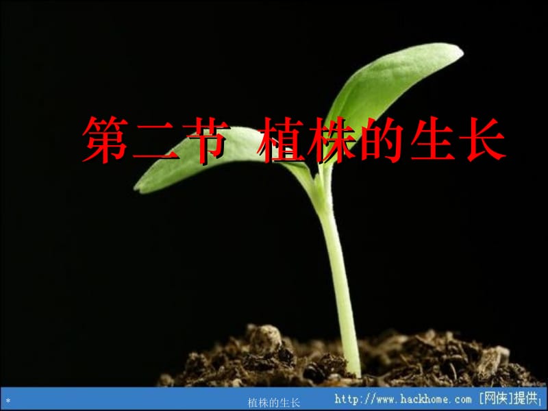 七年级生物上册-植株的生长ppt课件[精选文档].ppt_第1页