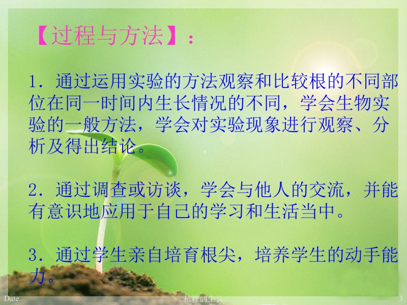 七年级生物上册-植株的生长ppt课件[精选文档].ppt_第3页