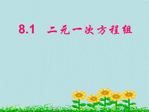 三阳学校洪海平《8.1二元一次方程组》课件[精选文档].ppt