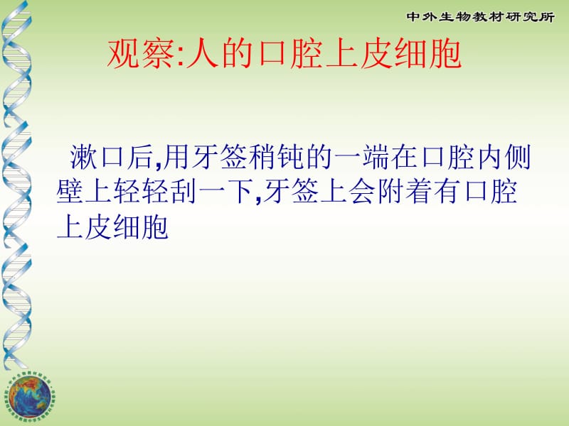 人和动物细胞的结构与功能[精选文档].ppt_第2页