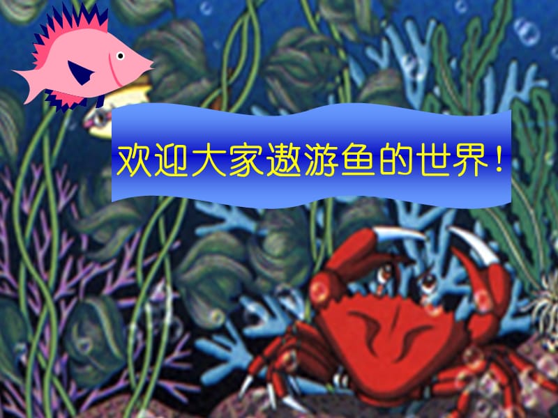 《谁画的鱼最大》课件[精选文档].ppt_第2页