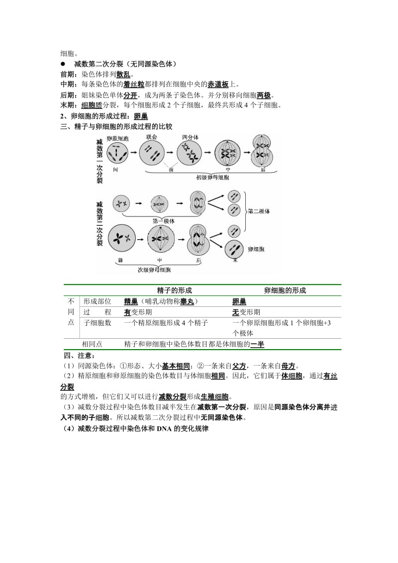 最新高中生物必修二知识点总结优秀名师资料.doc_第3页