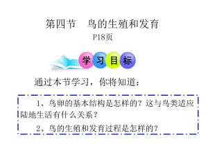 人教版八下第一章第四节鸟的生殖和发育（共50张PPT）[精选文档].ppt