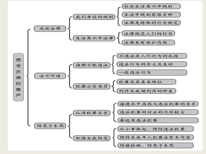 七年级政治第四单元　做知法守法用法的人课件人教版[精选文档].ppt_第2页