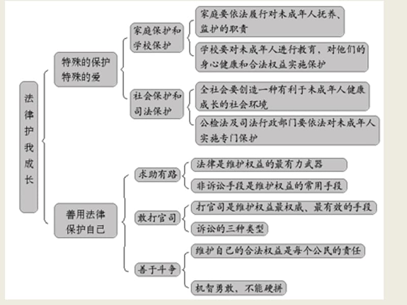 七年级政治第四单元　做知法守法用法的人课件人教版[精选文档].ppt_第3页