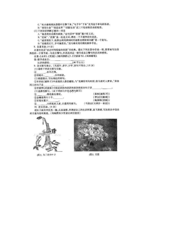 最新贵阳市初中毕业生学业考试适应性试卷&amp#46;语文及答案优秀名师资料.doc_第2页