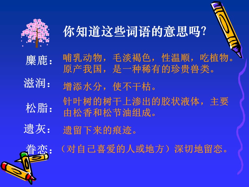 《这片土地是神圣的》ppt课件1[精选文档].ppt_第3页