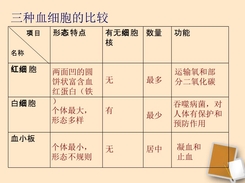 七年级生物下册第四章第三节输送血液的泵—心脏课件人教新课标版[精选文档].ppt_第2页