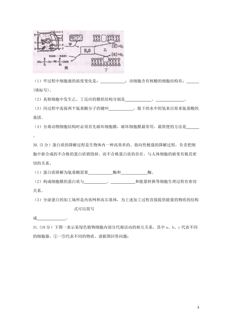 重庆市第一中学2018届高三生物上学期期中试题2018053101119.doc_第3页