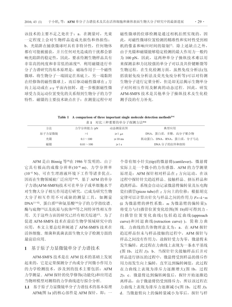 AFM单分子力谱技术及其在活体细胞和菌体表面生物大分子研究中的最新进展.pdf_第2页