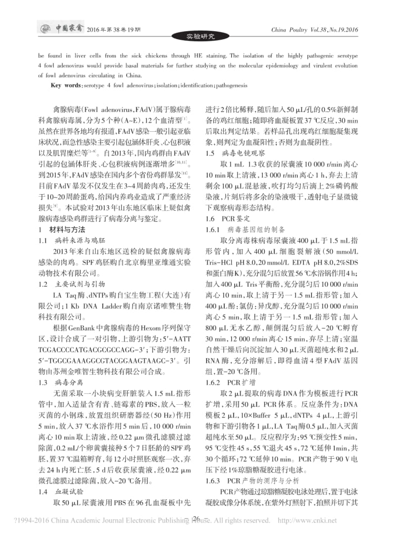 一株高致病性血清4型禽腺病毒的分离与鉴定_梁广成.pdf_第2页