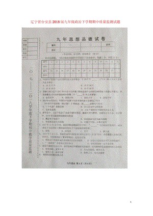 辽宁省台安县2018届九年级政治下学期期中质量监测试题扫描版20180531198.wps