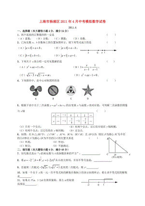 最新上海市杨浦区中考数学模拟试卷优秀名师资料.doc