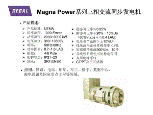 MagnaPower系列三相交流同步发电机.pdf