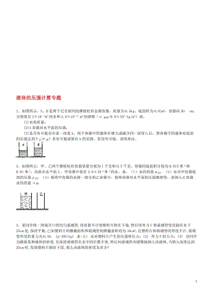 2012-2013年九年级物理上册_液体的压强计算专题期末复习_新人教版-教学文档.doc