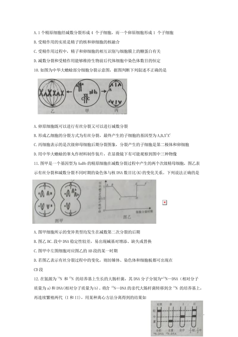 河南省鹤壁市2016_2017学年高一生物下学期期末考试试题20180531029.wps_第3页