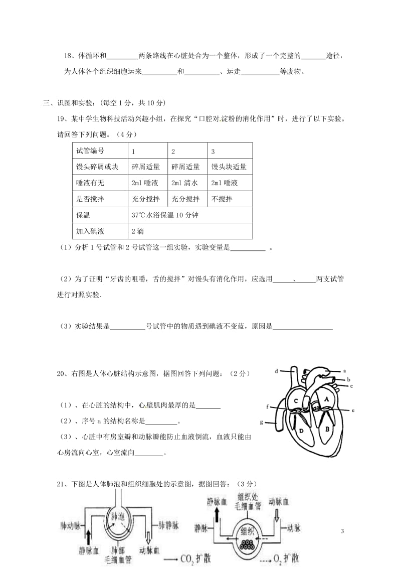 四川省南充市第五中学2017_2018学年七年级生物下学期半期试题新人教版201805294103.doc_第3页