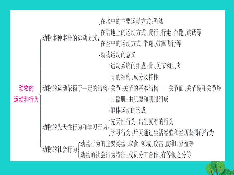 中考生物总复习知能综合突破专题5动物的运动和行为课件新人教版.pptx_第1页