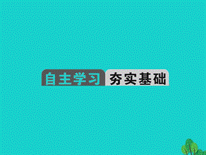 中考地理教材考点系统化复习第十七章西北地区课件新人教版.pptx