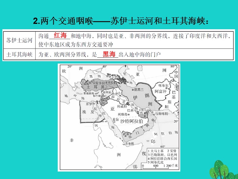 中考地理世界地理（下）第七章东半球其他的地区和国家复习课件.pptx_第2页