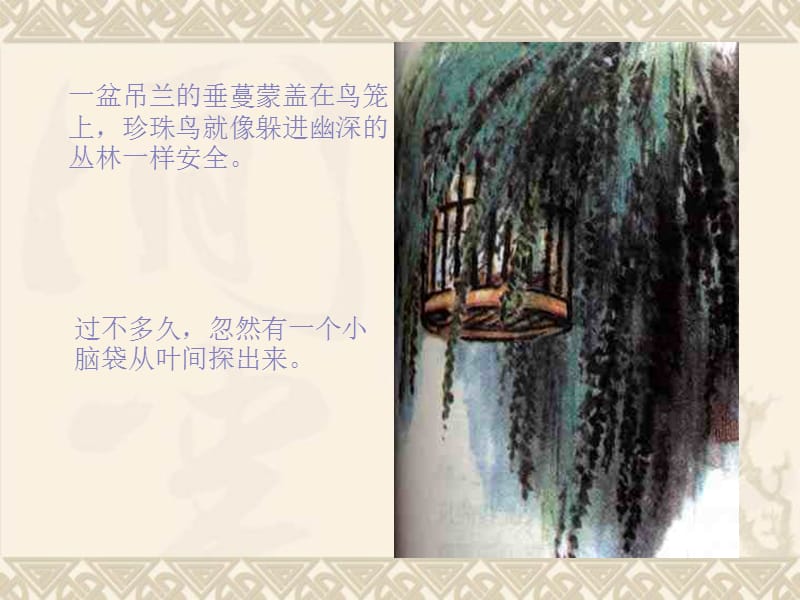 《珍珠鸟》教学课件(6).ppt_第2页