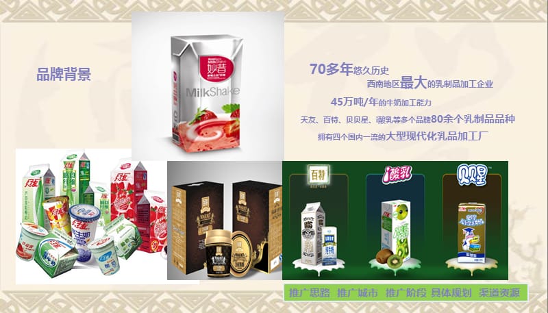 2013天友妙昔系列产品——推广策划执行方案.ppt_第2页