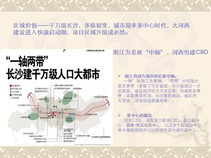 2011长沙大河西时代城项目价值体系梳理36p.ppt_第2页