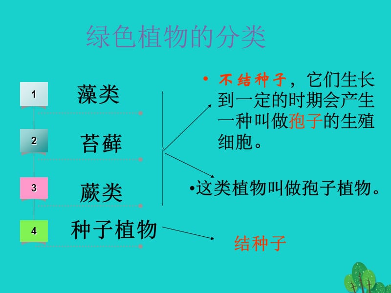 七年级生物上册3_1_1藻类苔藓和蕨类植物课件（新版）新人教版.pptx_第1页