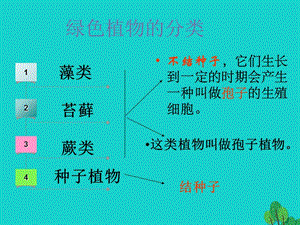 七年级生物上册3_1_1藻类苔藓和蕨类植物课件（新版）新人教版.pptx