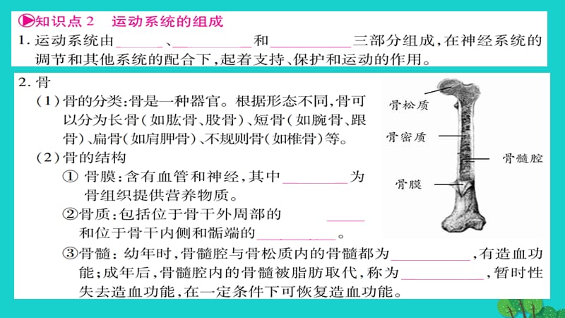 中考生物总复习第5单元生物圈中的生物和微生物课件北师大版.pptx_第2页