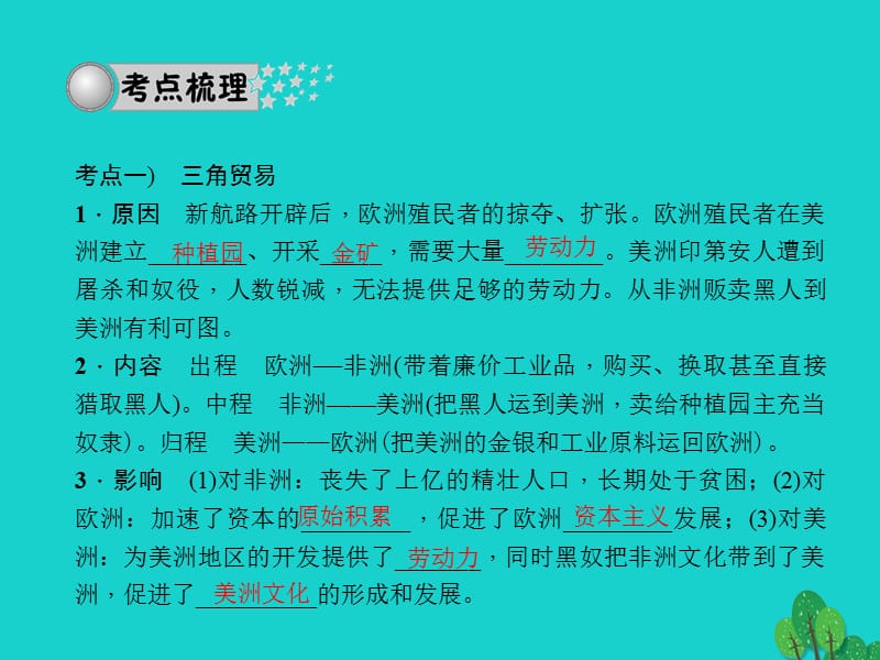 中考历史系统复习夯实基础第五板块世界近代史第20讲殖民扩张与殖民地人民的抗争课件.pptx_第2页